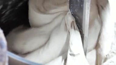 Baker hamuru endüstriyel bir fırında hamur karıştırıcısında yoğurdu. Fırın ürünlerinin üretimi.
