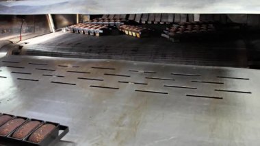 Fırında pişmiş taze ekmek ile pişirme tavaları endüstriyel bir fırının taşıyıcı bandı tarafından fırının yapraklarıdır. Fırın ürünlerinin üretimi.