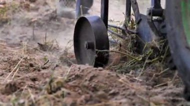 Patates kazıcısının yakın çekimi traktörün arkasında. Özel çiftlikte patates topluyorum. İnsanlar traktörle patates kazıyor. Çiftçi sebze bahçesinde kök sebze toplarken traktör sürüyor..