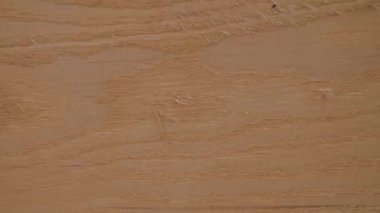 Dokulu ahşap bir arka planın kare kare canlandırması. Hareket tasarımı için tasarım ögesi. rustik çam ağacı arka planının döngü canlandırması.