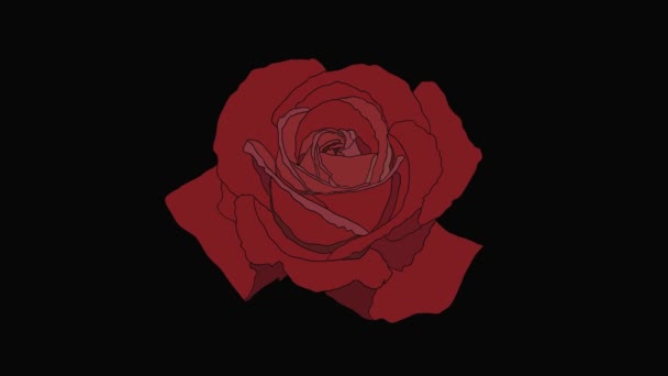 Animatie Van Een Rode Roos Met Zwarte Achtergrond — Stockvideo