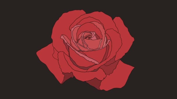 黑色背景下出现的红玫瑰的动画 — 图库视频影像