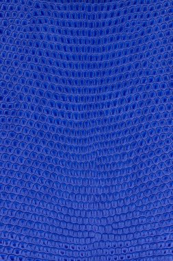 Bulanık kertenkele derisi. Sürüngen deri dokusu arkaplanı