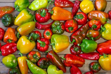 Bir dizi farklı tatlı biber çeşidi. Üst görünüm