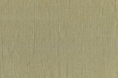 Zeytin pamuğundan tuval. doku. 