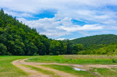  Kıvrımlı Country Yolu. Serene Country Lane