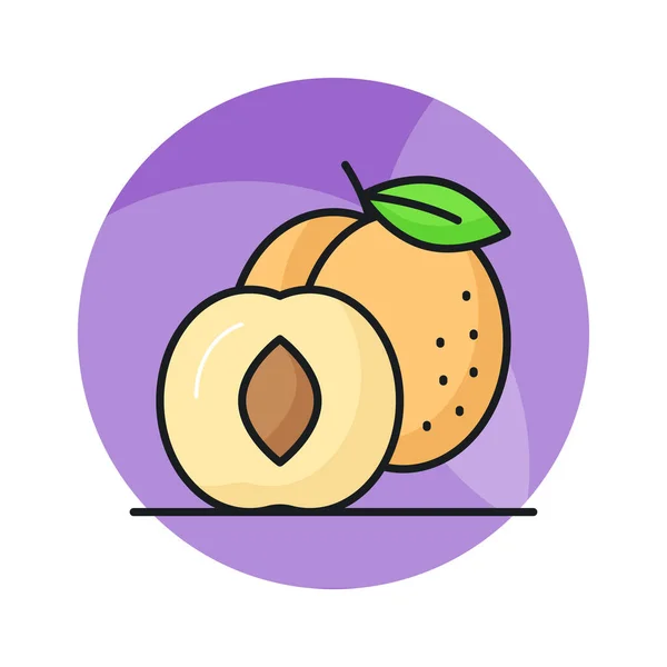 Yummy Vector Design Βερίκοκου Εικόνα Υγιών Φρούτων Μοντέρνο Στυλ — Διανυσματικό Αρχείο