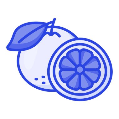 Modern tarzda iyi tasarlanmış greyfurt ikonu, en sağlıklı turunçgil meyvesi.