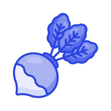 İnanılmaz bir şalgam, sebze kökü, organik gıda, beyaz arka planda izole edilmiş.