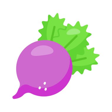 Beyaz arkaplanda izole edilmiş turp vektör tasarımı