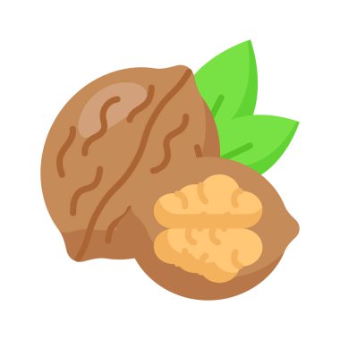 Sağlıklı organik gıda, soyulmuş ceviz vektör tasarımı