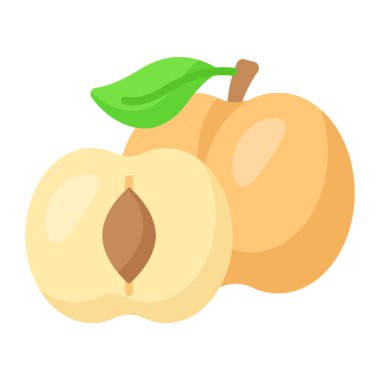 Vahşi kayısı taşıyıcı tasarımı, sağlıklı meyve ikonu