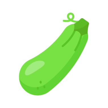 Beyaz zemin üzerinde taze kabak vektörü, sebze iliği kabağı kabağı veya kabak, hasat kabağı organik bileşeni.