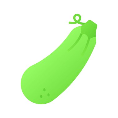 Beyaz zemin üzerinde taze kabak vektörü, sebze iliği kabağı kabağı veya kabak, hasat kabağı organik bileşeni.