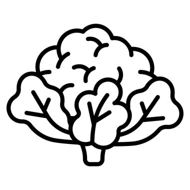 Yeşil yapraklı taze karnabahar, sağlıklı ve organik yiyecek.