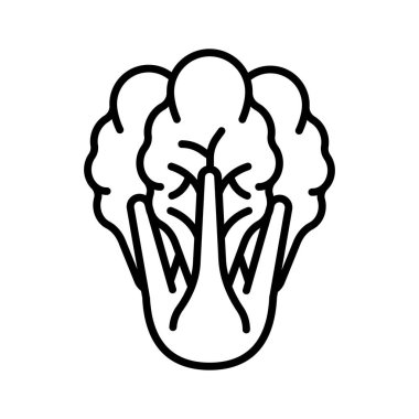 Bu görsel olarak mükemmel olan lahananın modaya uygun bir görüntüsünü yakalayın. Lahana vektörü