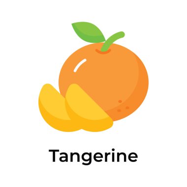 Çin turunçgil meyve vektör tasarımı, simge kullanmaya ve indirmeye hazır