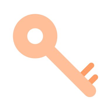 Özel anahtarın moda simgesi, koruma anahtarı vektör tasarımı