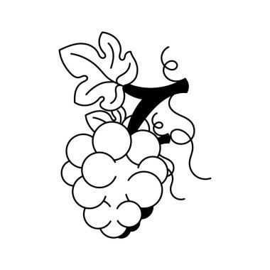 Bir demet tatlı dut, üzüm ikonu, doğal antioksidan meyve.