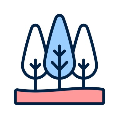 Bahçeye yeşillik ve gölge sağlayan bir selvi ağacı.