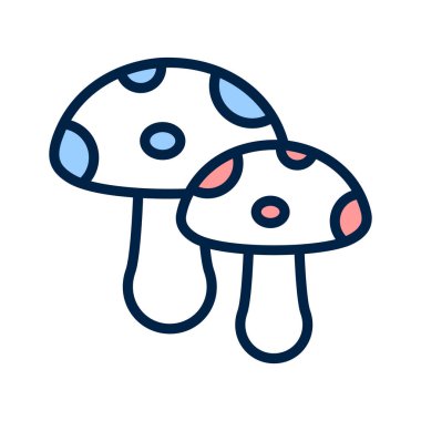 Birinci sınıf mantar, sağlıklı ve organik besin.