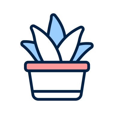 Aloe Vera, tıbbi ve sakinleştirici özellikleriyle tanınır.