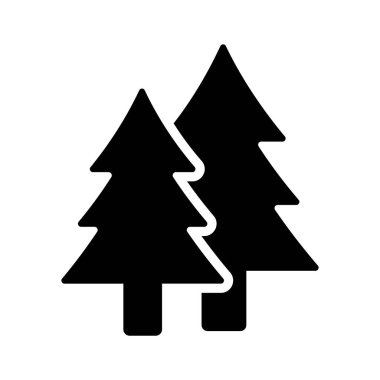 Bir köknar ağacı, genellikle peyzaj ve tatil süslemeleri için kullanılır.