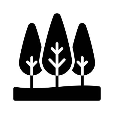 Bahçeye yeşillik ve gölge sağlayan bir selvi ağacı.