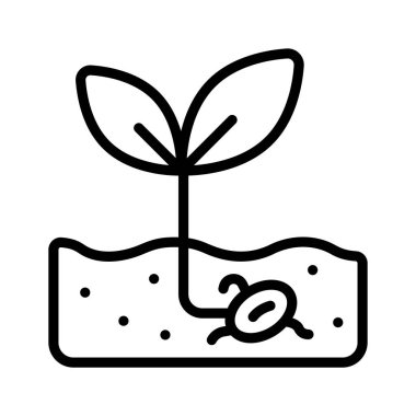 Bitki hayatının başlangıcını temsil eden genç bir tohum.