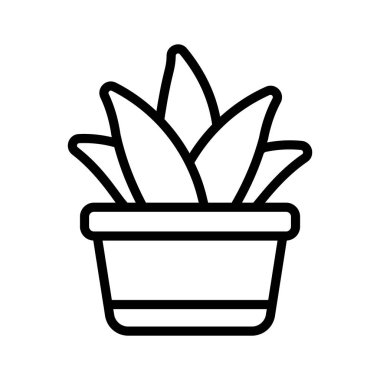 Aloe Vera, tıbbi ve sakinleştirici özellikleriyle tanınır.