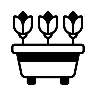 Saksı bitkileri, veranda dekorasyonu, pencere pervazları ve kapalı alanlar için mükemmel.