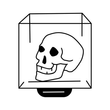 Serginin bir parçası olarak koruyucu bir kutuda gösterilen bir kafatası