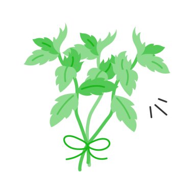 Taze nane yaprakları, aromatik ve süslemek için mükemmel.