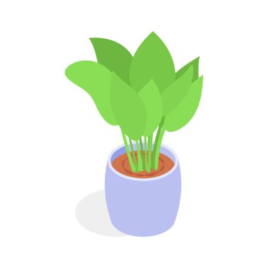 Tencerede canlı yeşil bir ev bitkisi, izometrik tarzda sunuluyor..