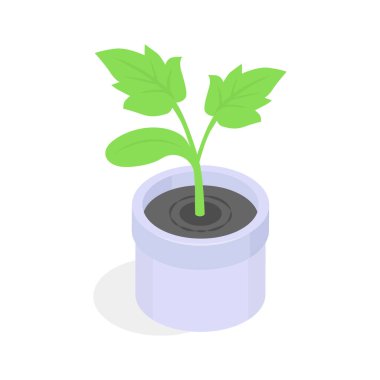 Tencerede canlı yeşil bir ev bitkisi, izometrik tarzda sunuluyor..