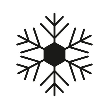 Şu muhteşem kar tanesine bakın. Modern tarzda.