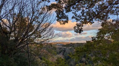 Ağaçlar ve ormanlarla dolu güzel bir manzara.
