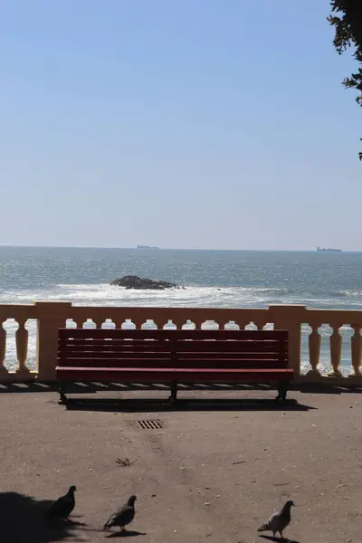 Porto şehrinin güzel bir sahili var.