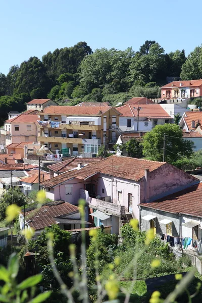 porto kenti