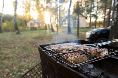 Sonbahar doğasının arka planında kebap ya da barbekü.