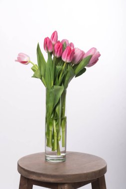 Bir buket bahar çiçeği. Beyaz arka planda pembe laleler