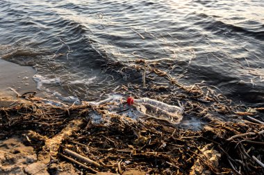 Nehir kıyısındaki çöpler. Doğanın plastik ve kirliliği.