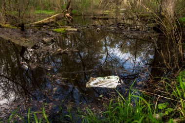 Bataklıkta yüzen plastik torba kirliliği ve çevresel hasarı simgeliyor. İlkbahar doğası, ama atıkla kirlenmiş. Çevreye çöp atmanın ekosistemler üzerindeki etkisinin kesin bir hatırlatıcısı.