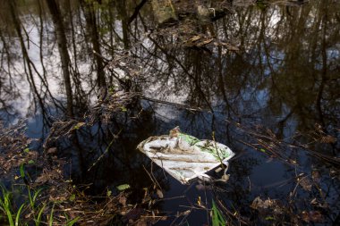 Plastik çöp ya da deniz kıyısında, sahilde zambak kökleri görülebilen bir film. Sıcak gün batımı ışığı çevre kirliliğini ve doğa ile su kaynaklarını korumanın önemini vurguluyor