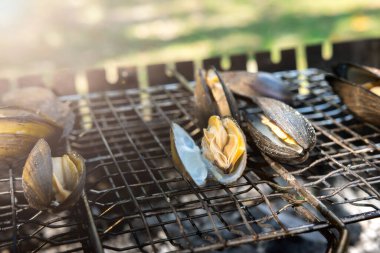 Barbekü ızgarasında ızgara midye ve güneş ışığı. Deniz ürünlerini, yaz yemeklerini ya da açık hava yemek temalarını sergilemek için mükemmel.