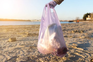 Beach cleanup scene with hands in gloves collecting plastic waste. Focus on environmental protection, sustainability, and the fight against ocean pollution. Perfect for eco-awareness and green lifestyle clipart