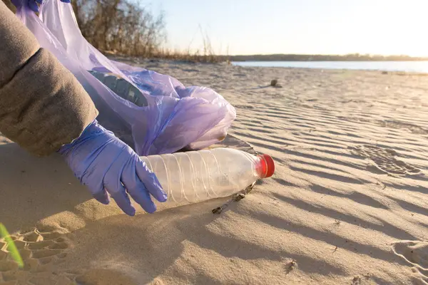 Plajı temizleyen, plastik bir şişeyi mor bir çantaya koyan eldivenli bir adam. Çevresel çabalar ve plastik atıkların azaltılması. Ekonomi, sürdürülebilirlik ve geri dönüşüm temaları için ideal