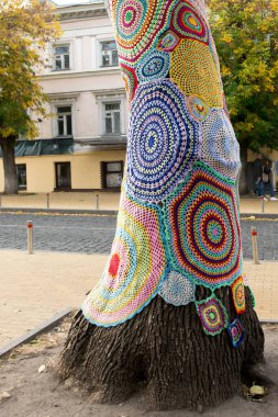 Çok renkli tığ işi dairelere sarılı bir ağacın yakın çekimi. Sanat, topluluk ve DIY sanatsal temalar için mükemmel.