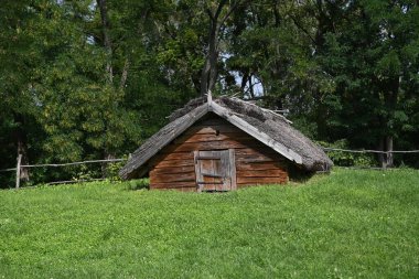Yoğun ormanlarla çevrili, yemyeşil yemyeşil içinde sazdan bir çatısı olan ahşap bir kulübe. Doğa, kırsal ve kırsal yaşam tarzları için mükemmel..