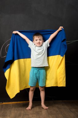 Kolları açık bir çocuk mavi ve sarı bir bayrak tutuyor, vatanseverlik ve umut uyandırıyor. Tahta arka plan bayrağın renklerinin görsel etkisini arttırır.